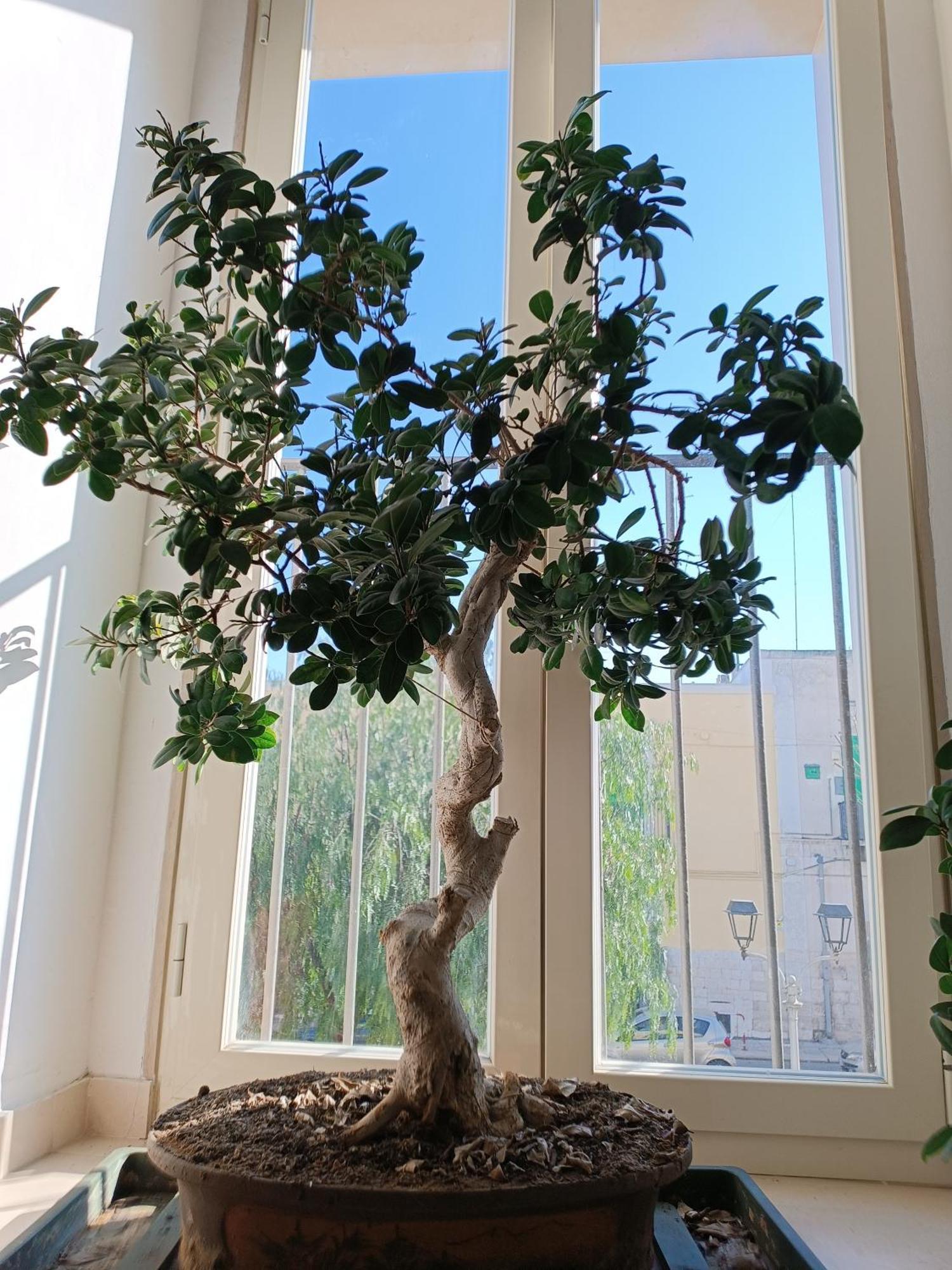 מולפטה B&B San Francesco מראה חיצוני תמונה